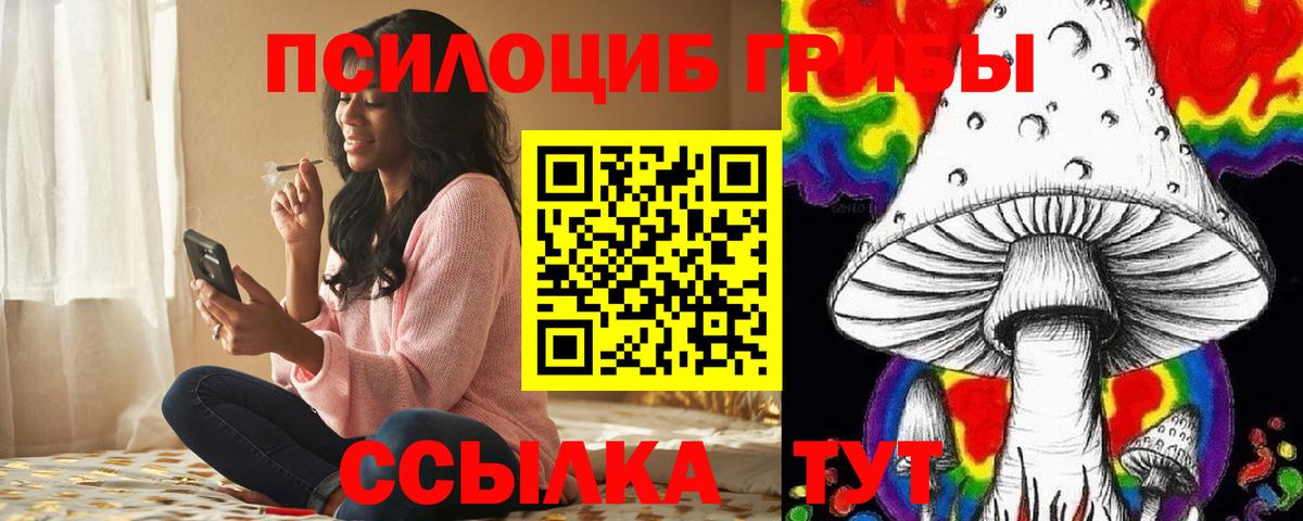 купить наркотик  Вход с VPN  Оренбург  Псилоцибиновые грибы мухоморы 